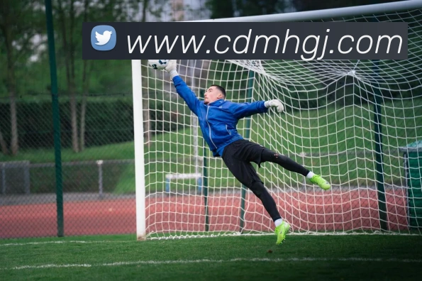 奖项证书